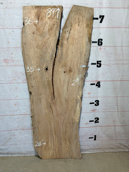 Live Edge Maple Sku#28427B-40