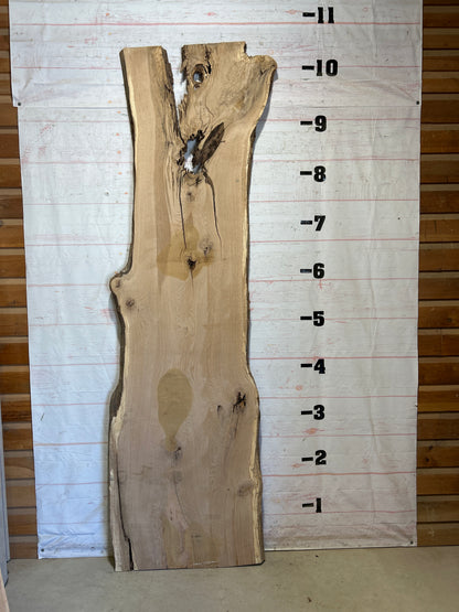 Live Edge White Oak Sku#28754-57