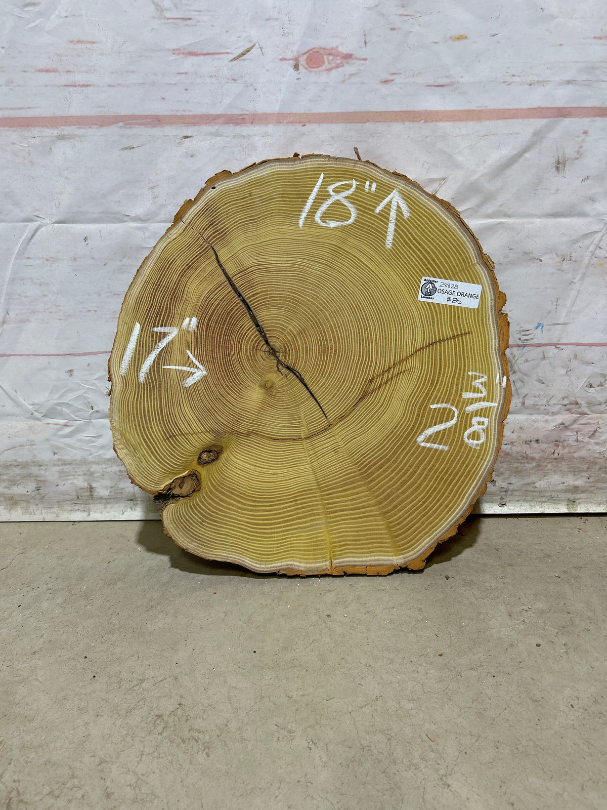 Live Edge Osage Orange Sku#28828M