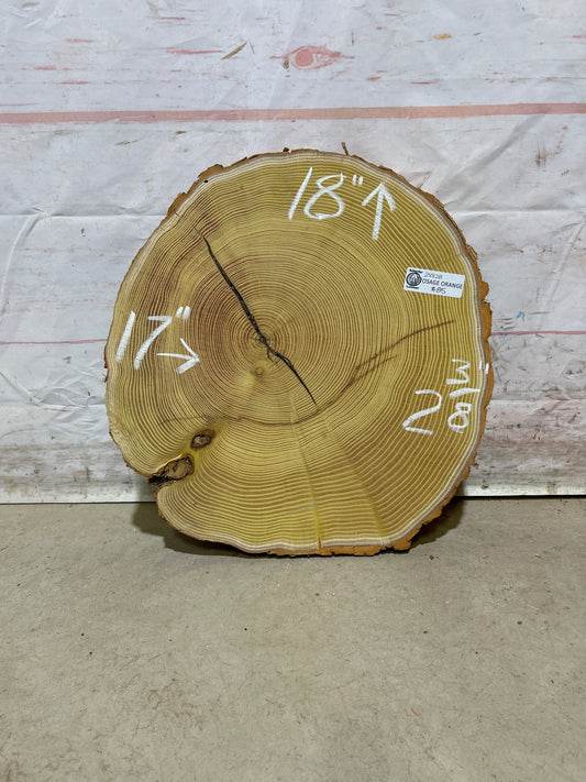 Live Edge Osage Orange Sku#28828M
