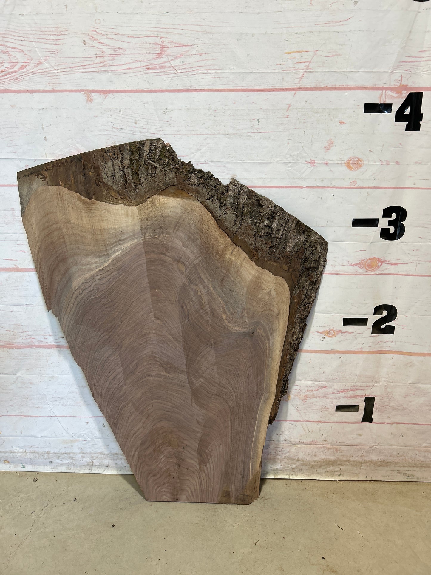 Live Edge Walnut Sku#27919M-19