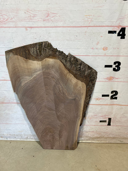 Live Edge Walnut Sku#27919M-19