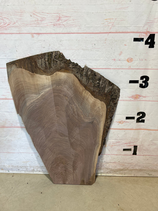Live Edge Walnut Sku#27919M-19