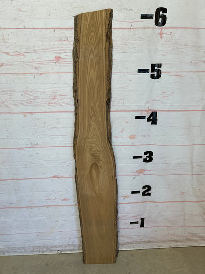 Live Edge Catalpa Sku#28668-8