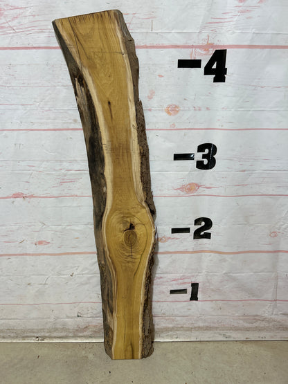 Live Edge Mulberry Sku#28372M-5