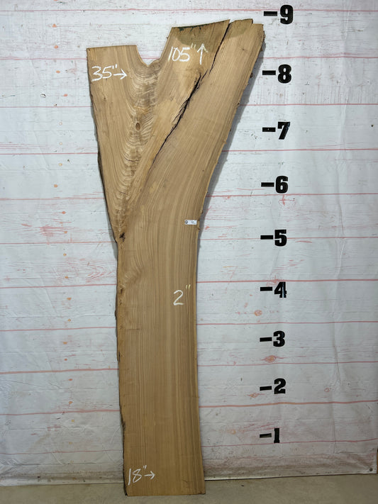 Live Edge Elm Sku#27503D-39