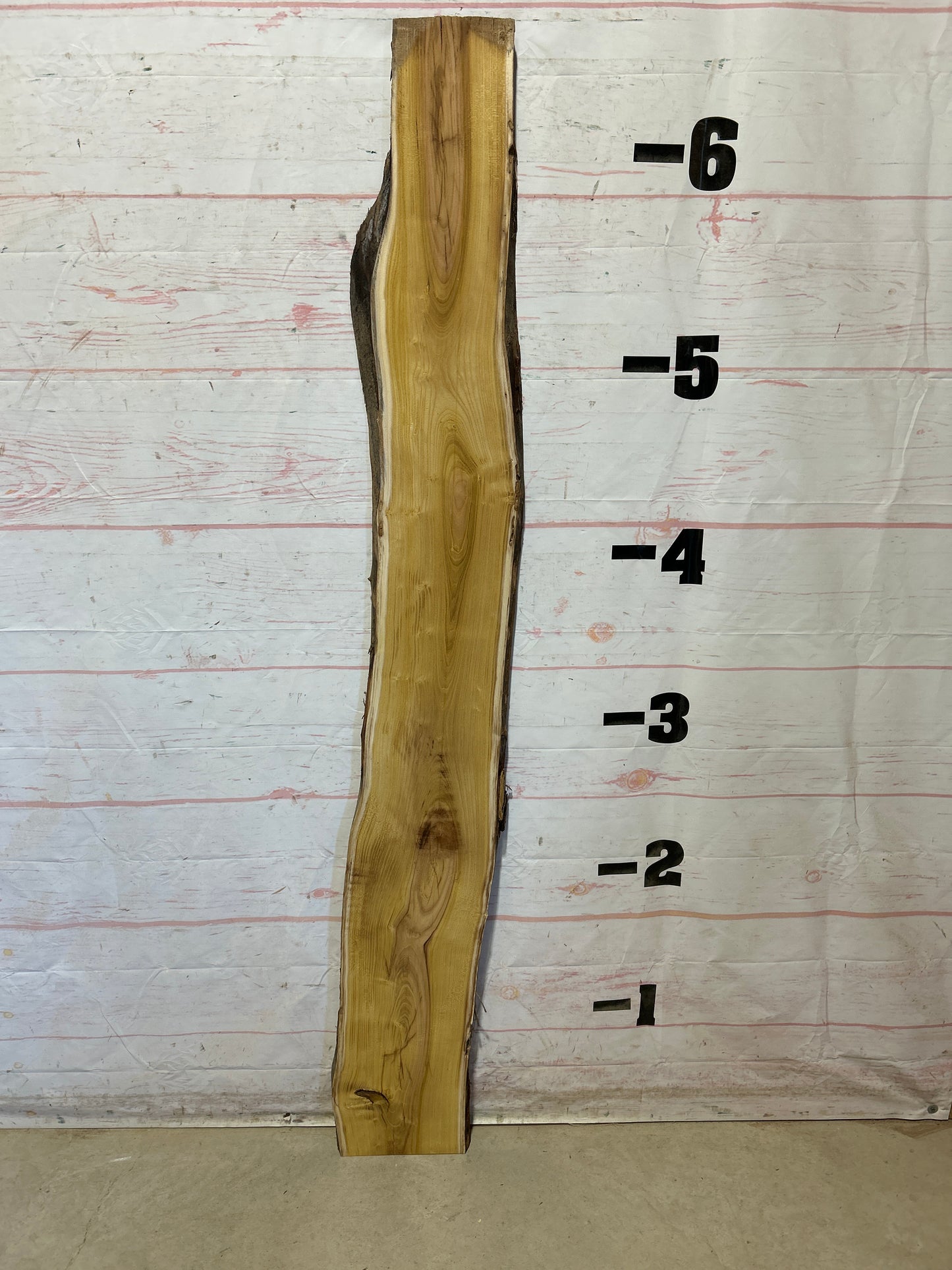 Live Edge Mulberry Sku#28353D-6