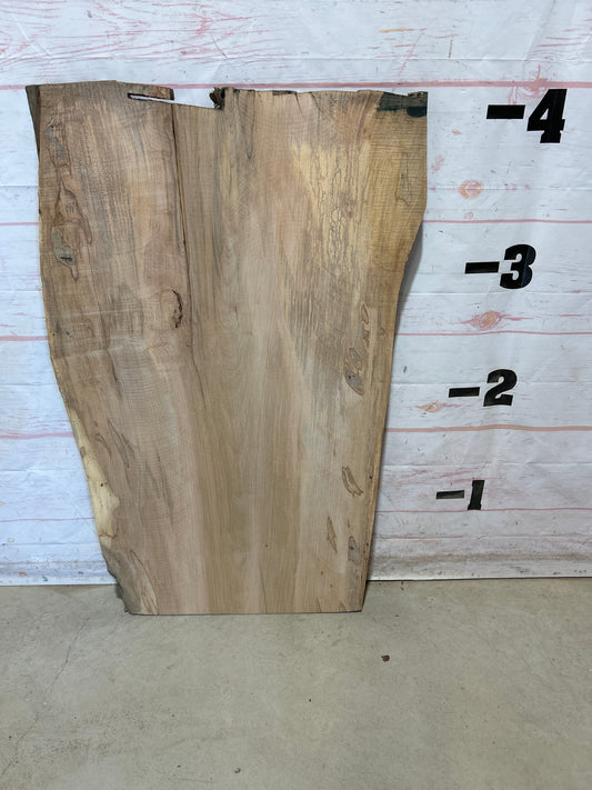 Live Edge Maple Sku#28249B-21