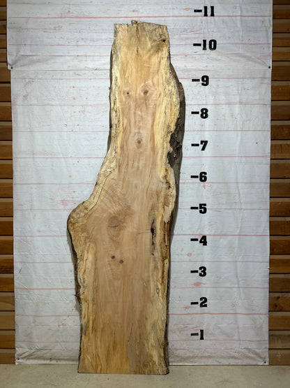 Live Edge Maple Sku#28102-59