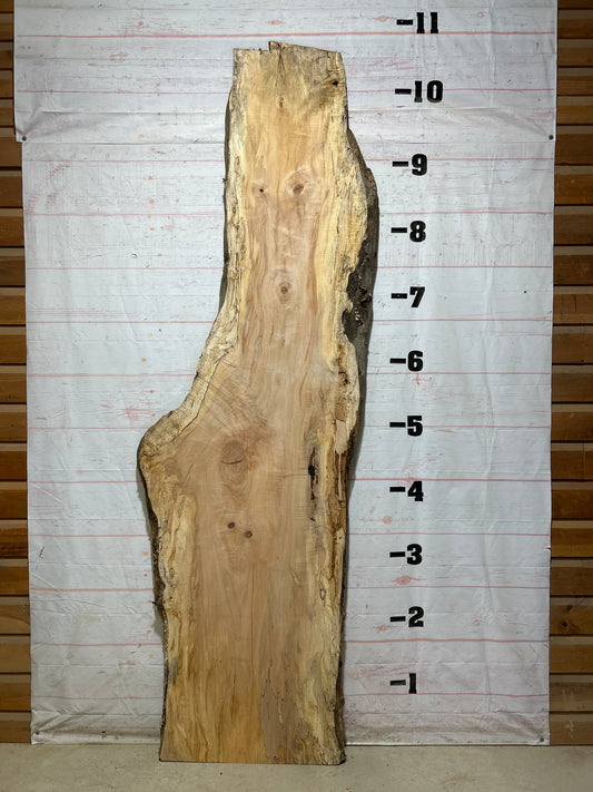 Live Edge Maple Sku#28102-59