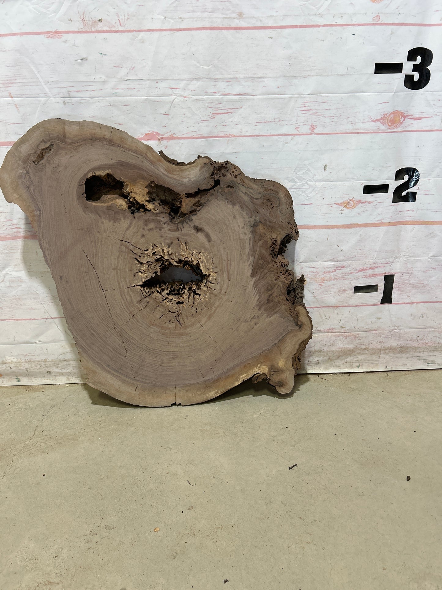 Live Edge Walnut Sku#27540M