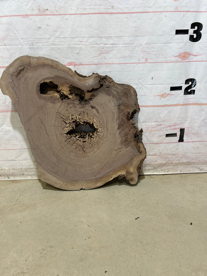 Live Edge Walnut Sku#27540M