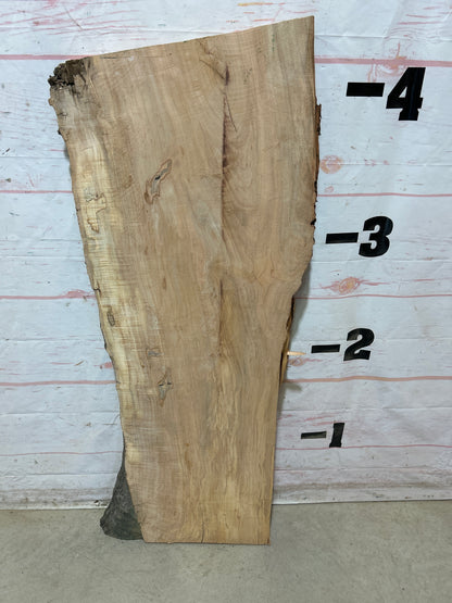 Live Edge Maple Sku#28436E-17