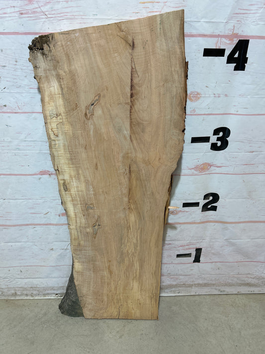 Live Edge Maple Sku#28436E-17