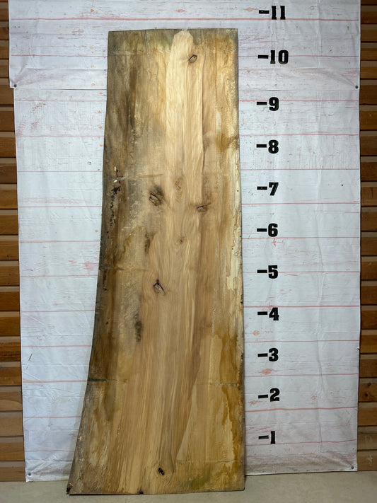 Live Edge Sycamore Sku#27451-73