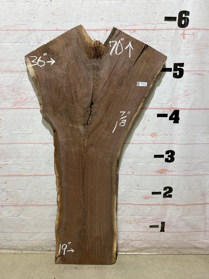 Live Edge Walnut Sku#27931G-27