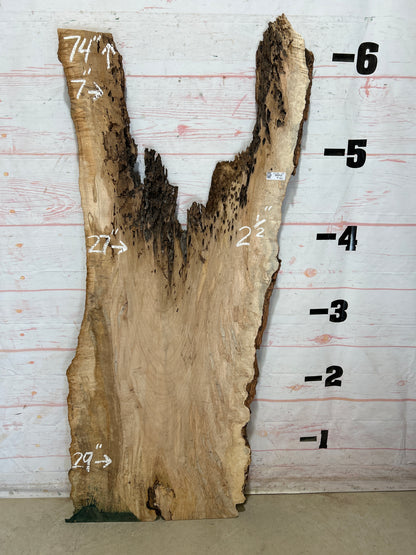 Live Edge Ambrosia Maple Sku#27258-23