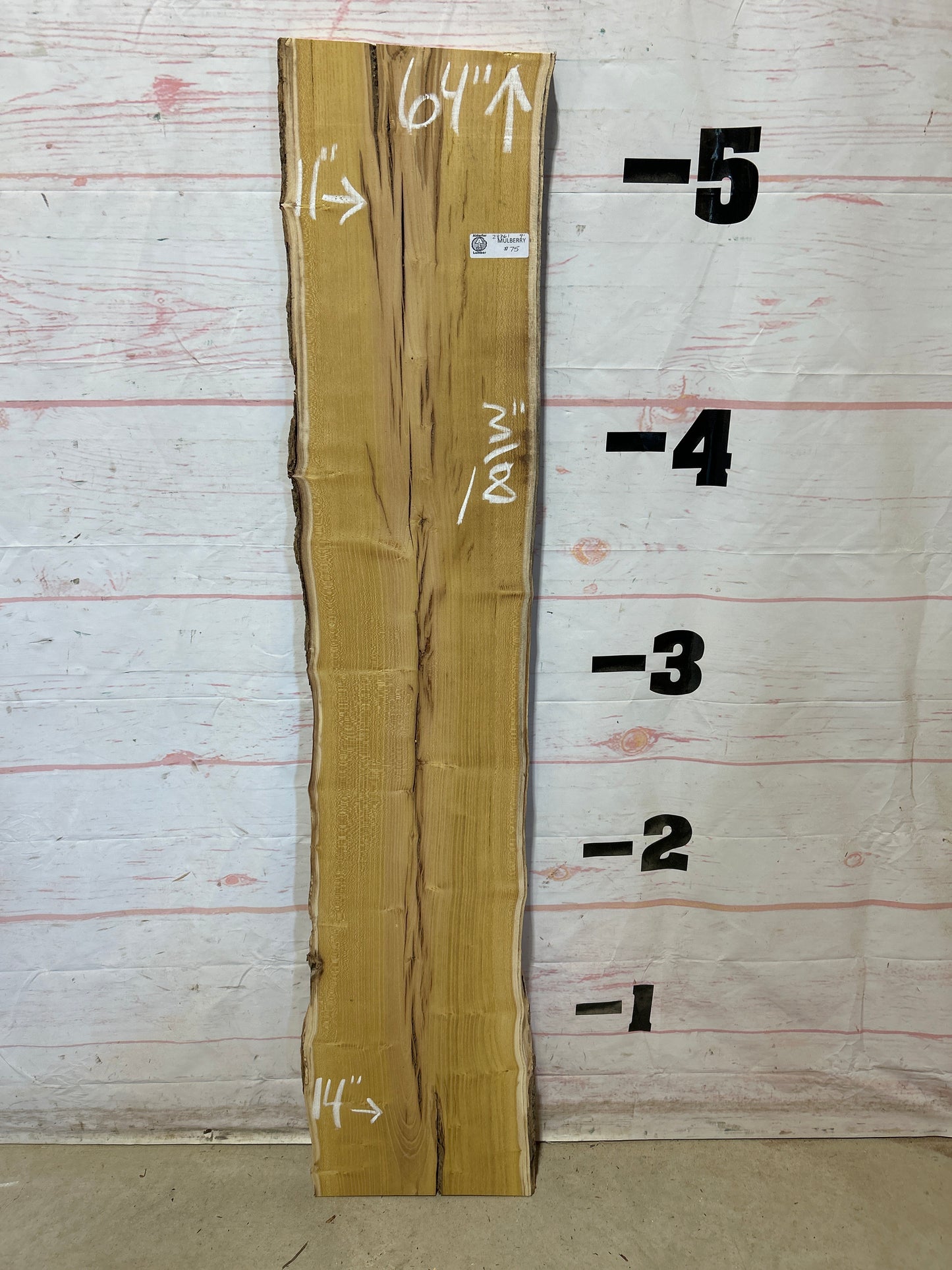 Live Edge Mulberry Sku#28361D-9