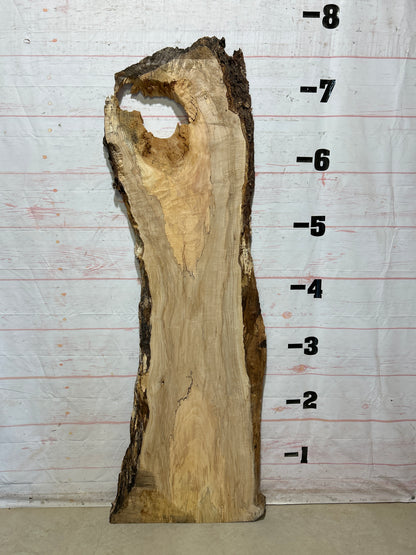 Live Edge Maple Sku#27382B-32