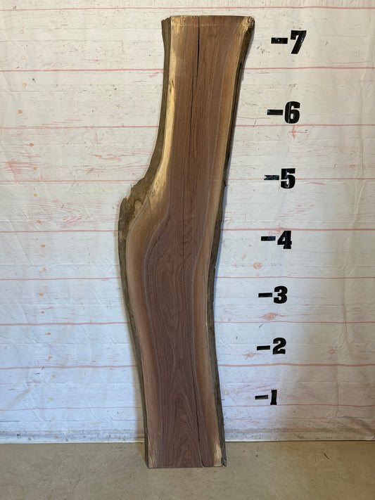 Live Edge Walnut Sku#28924G-22