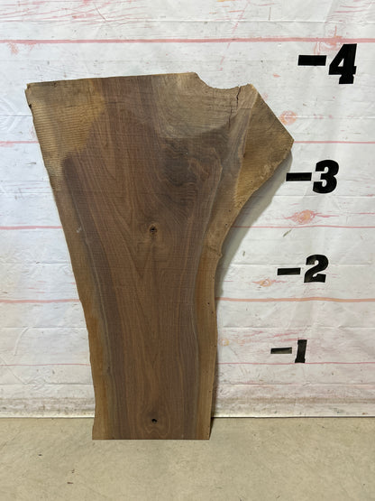 Live Edge Walnut Sku#28848M-12