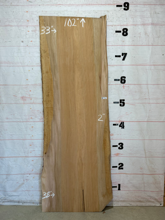 Live Edge Sycamore Sku#28455-51