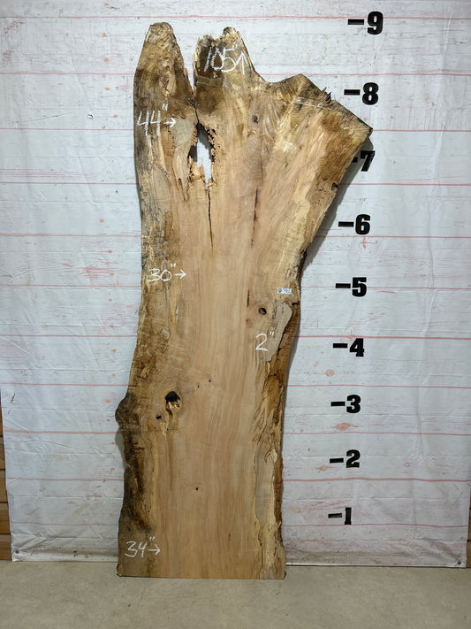 Live Edge Maple Sku#28096B-54