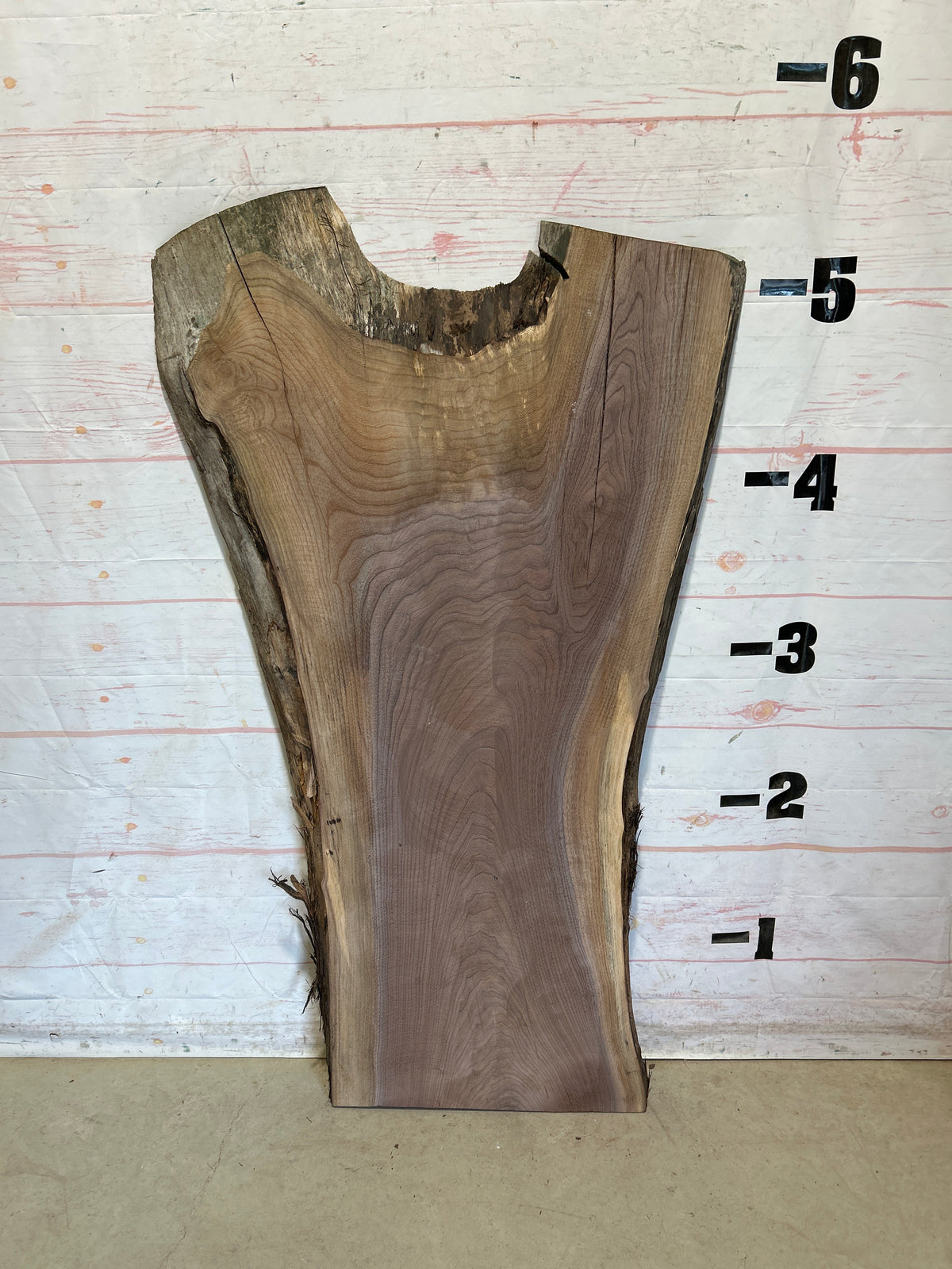 Live Edge Walnut Sku#28723N-32