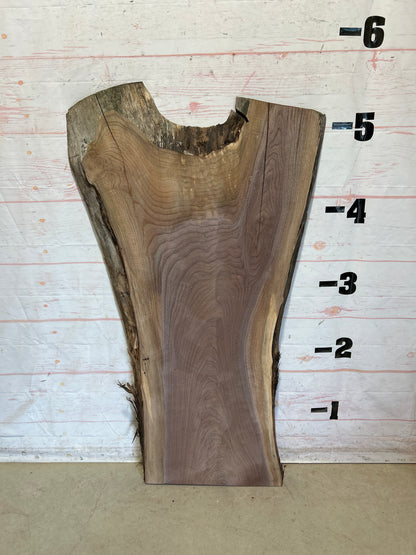 Live Edge Walnut Sku#28723N-32