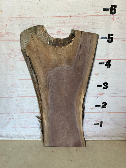 Live Edge Walnut Sku#28723N-32