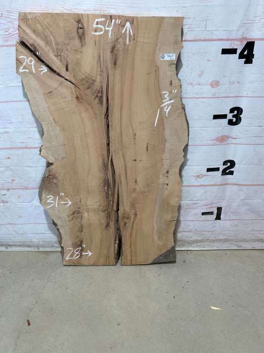 Live Edge Maple Sku#28261E-20