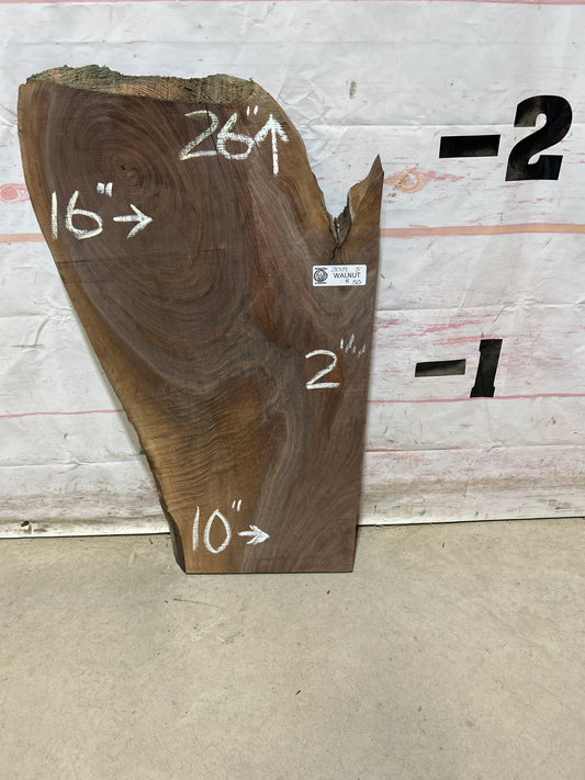 Live Edge Walnut Sku#28379M-5