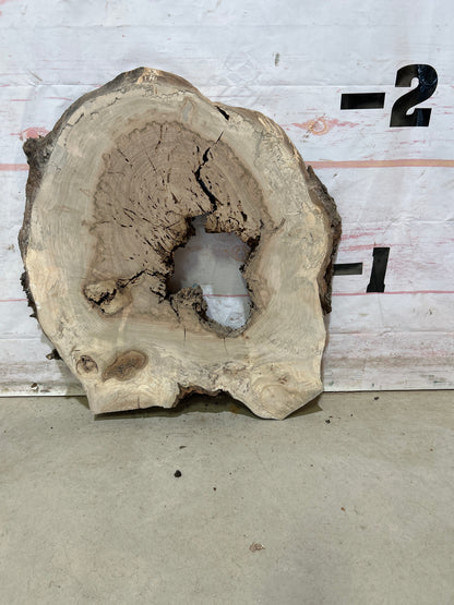 Live Edge Maple Cookie Sku#27888M