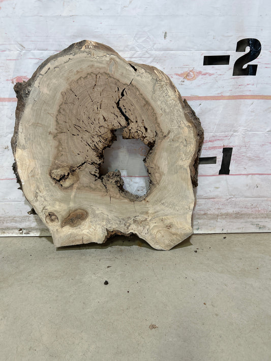 Live Edge Maple Cookie Sku#27888M