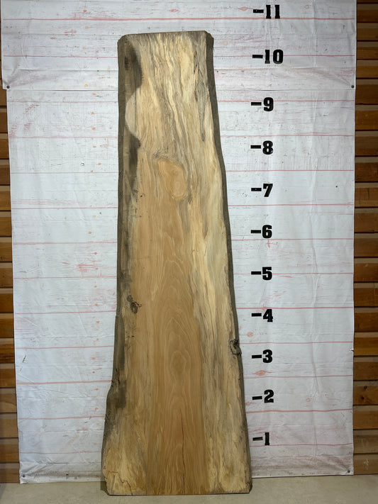 Live Edge Sycamore Sku#27457-60