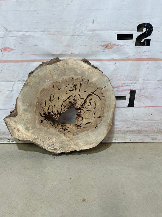 Live Edge Maple Cookie Sku#27881M
