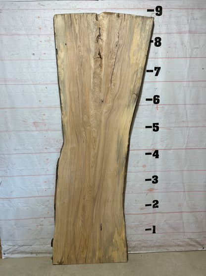 Live Edge Ash Sku#28819-53