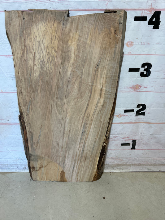 Live Edge Maple Sku#28248B-18