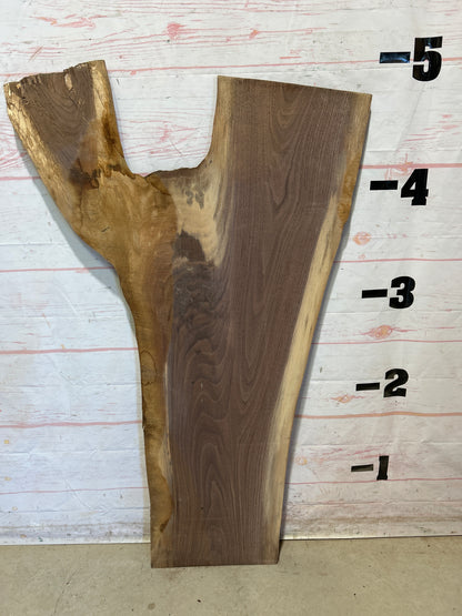 Live Edge Walnut Sku#27796M-9