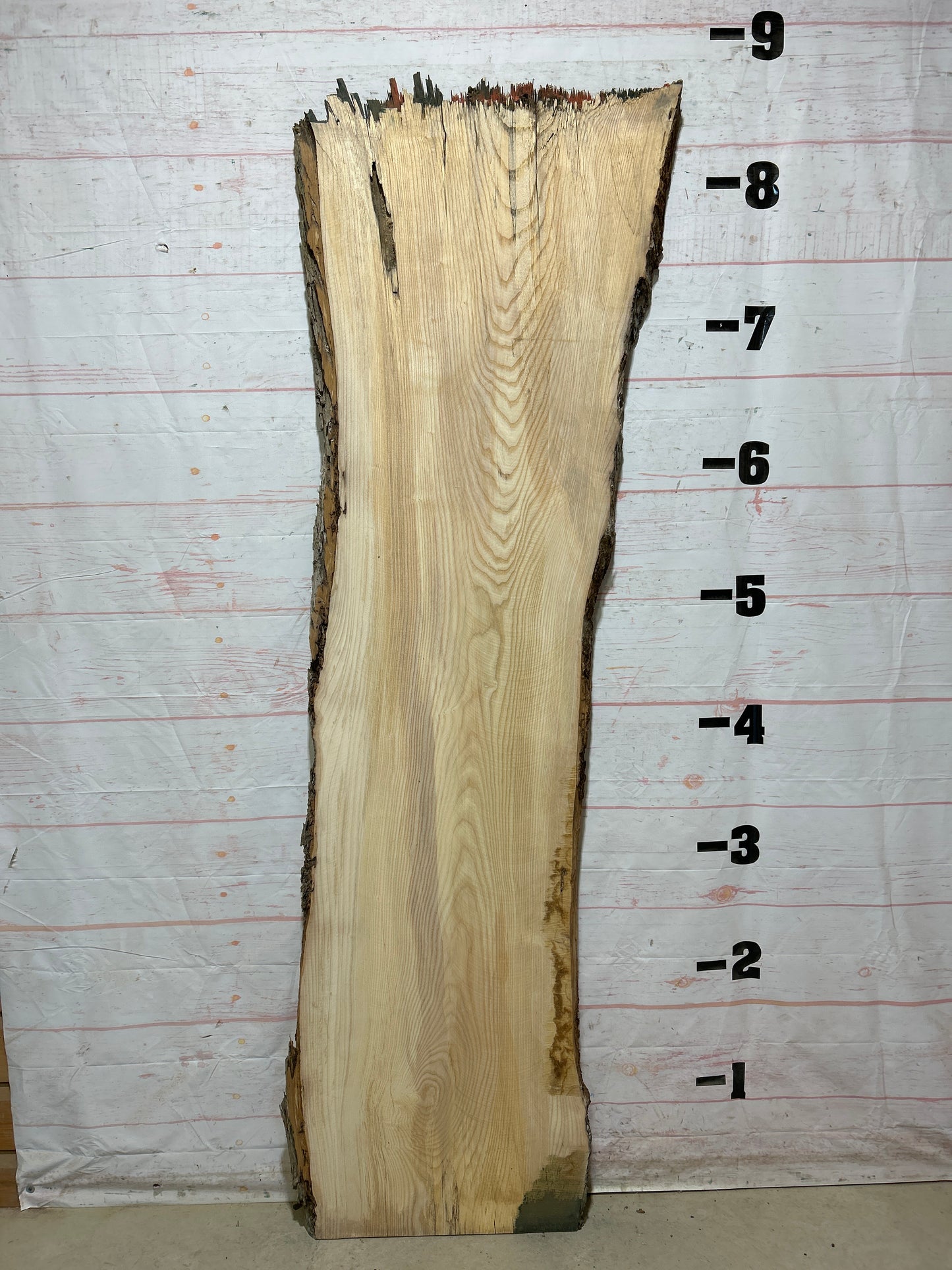 Live Edge Ash Sku#27613-42