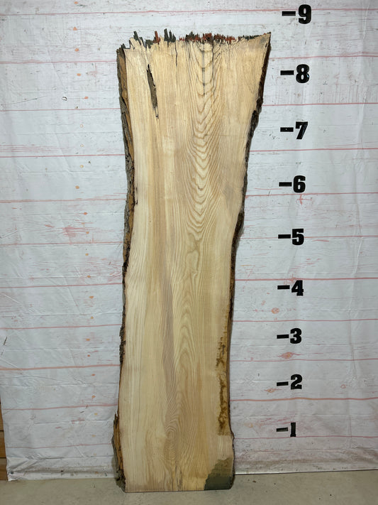 Live Edge Ash Sku#27613-42