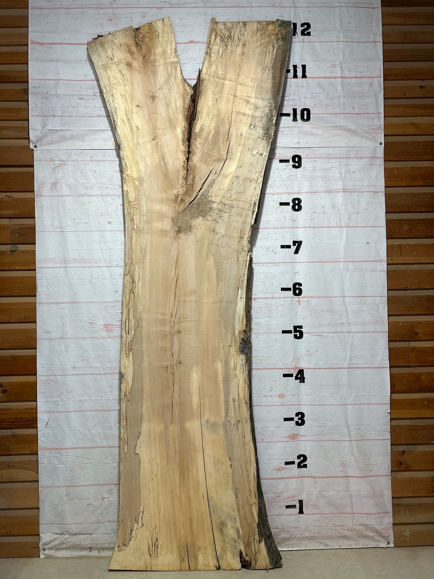 Live Edge Spalted Maple Sku#27301- 90