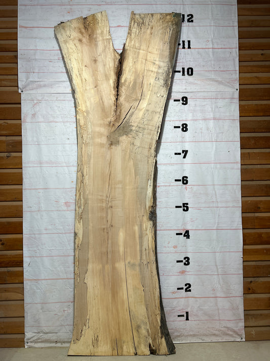 Live Edge Spalted Maple Sku#27301-90