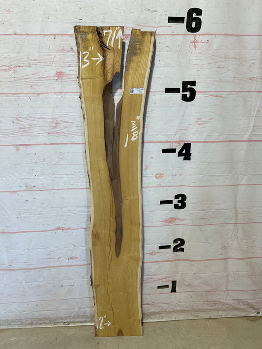 Live Edge Mulberry Sku#28358D-10