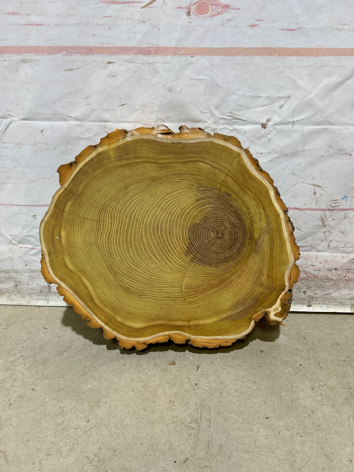 Live Edge Osage Orange Sku#28834M