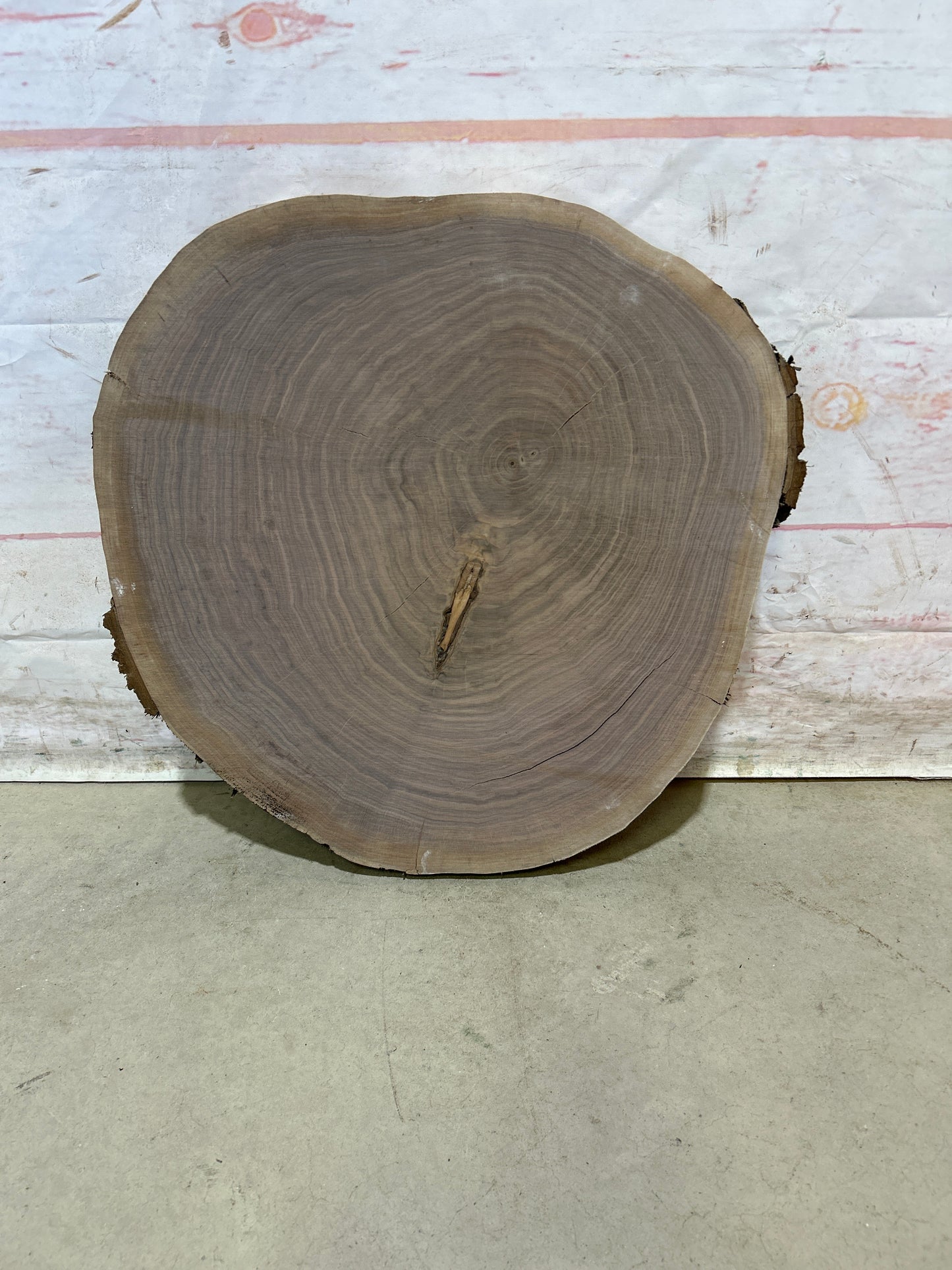 Live Edge Walnut Cookie Sku#28174M