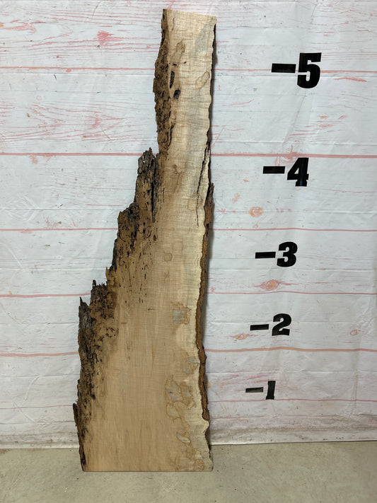 Live Edge Ambrosia Maple Sku#27265-13