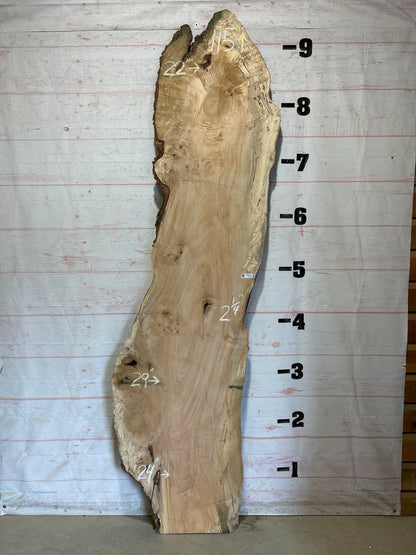 Live Edge Maple Sku#28425-47