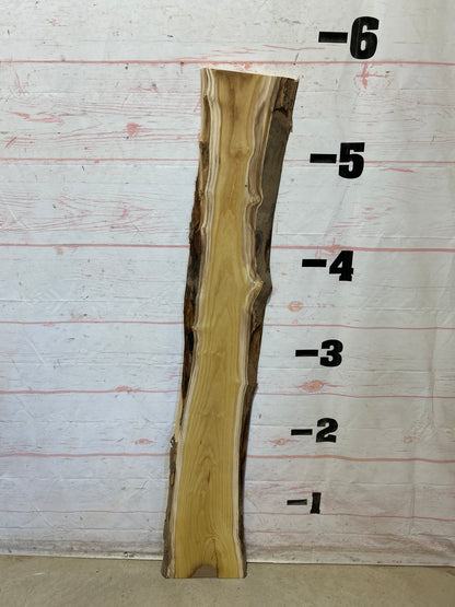 Live Edge Mulberry Sku#28356D-8