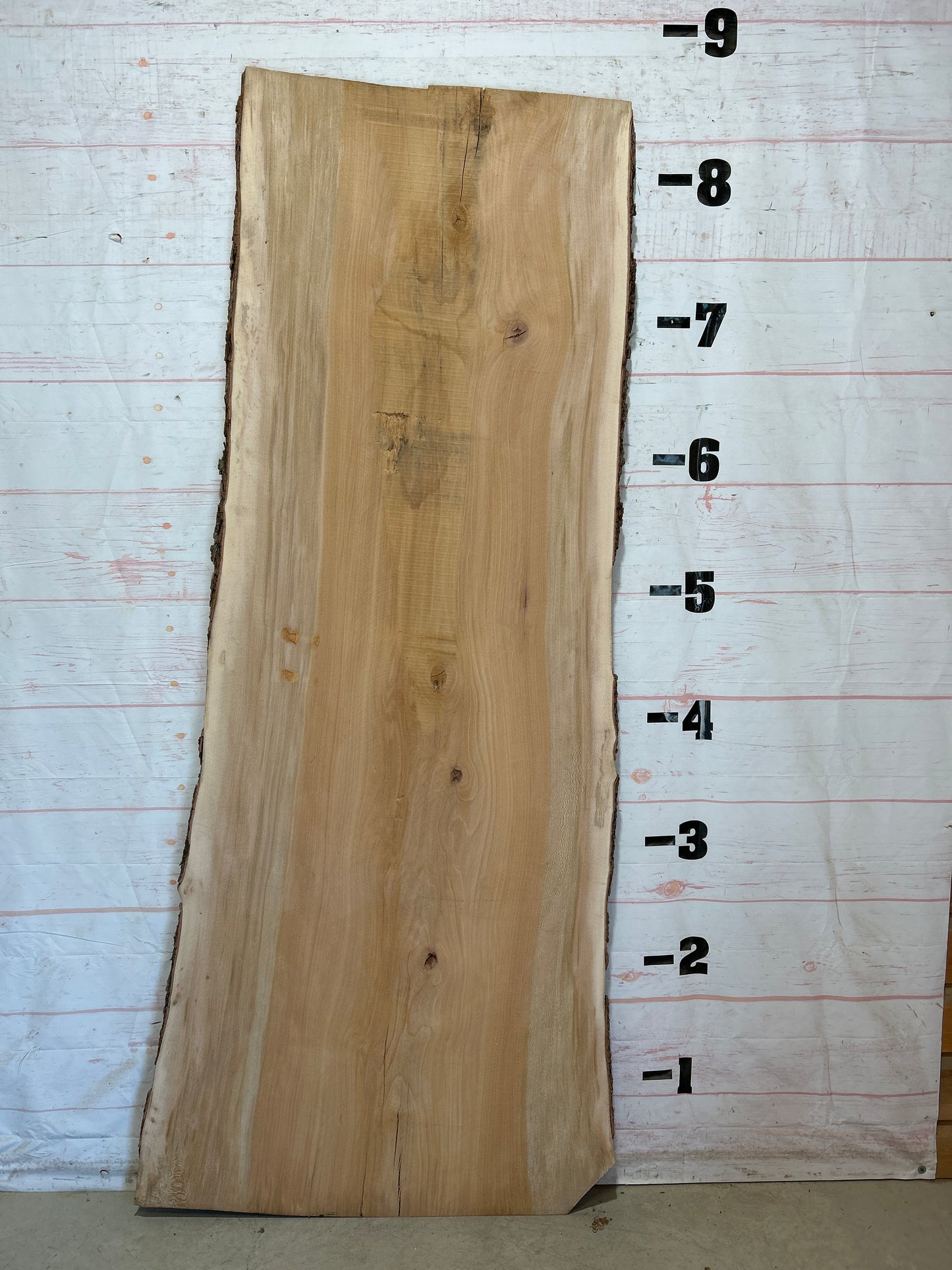 Live Edge Sycamore Sku#28458-50